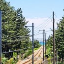 강릉정동진바다풍경오션뷰펜션 이미지