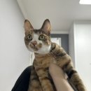 사연 공장 : 4-5월