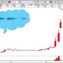 세종 트레이딩 Daum카페
