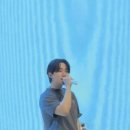 아이보세미