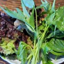 칠암거북 이미지