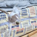 가곡우리약국 이미지