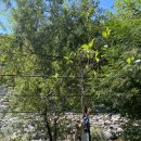 경남용추민박 이미지