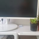 행복다육꽃농원