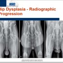 에스동물병원 이미지