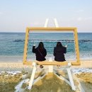 강릉아리솔게스트하우스 이미지