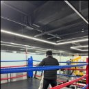 SY 주짓수&복싱 이미지