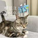 주식회사 토루 네이버블로그