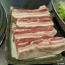 엉터리생고기 이미지