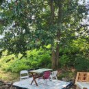 병점역큐공인중개사사무소 이미지