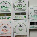 해브언아이스데이 | [육아정보/리뷰]시판큐브 큐브데이 사용후기 내돈내산 | 쌍둥이 이유식 초기