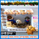 해돋이유치원 | 인천송도애견 강아지유치원 인기비결! 프로그램으로 놀이·교육·사회화 한 번에, 가격은 할인팍팍!