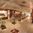 파주애견미용센터 이미지