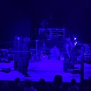 2016년 11월 3일 ~ 11월 17일 TNA IMPACT WRESTLING SPOILER 이미지