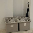 카페 시도 | 창원 가로수길 시도때도 카페 후기