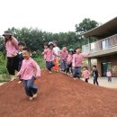 솔빛숲유치원 이미지