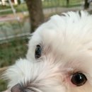 언니식당 - 영암군 | 언니식당