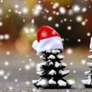 솔마루생활문화센터 이미지