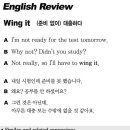 Wing it (준비 없이) 대충하다 2021-05-27 (목) 이미지