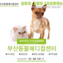 연제종합동물병원 이미지