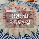 오륙도초장집 | 광안리 민락회센터 함안상회, 오륙도횟집 후기