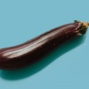 만다(manda) 네이버블로그