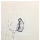 색연필 그리고 연필화 이미지