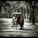 달리는마차 이미지