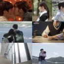 멍냥멍냥 이미지