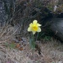 덕천농장 이미지