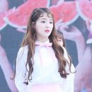 몽가 이미지