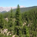 불행의 시작은 비교로부터 이미지