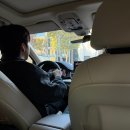 현우빌딩 | 다이어트 끝^^ 11월 12월까지 진짜 한발 남았다