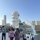 세븐일레븐 리버파크점 | 싱가포르 여행 7. 멀라이언 파크, 마리나스퀘어 야쿤카야 토스트, 한국 마트