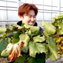 박상윤농장 이미지