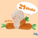 이병관 | [임신 20주차] 자궁경부길이 2.7cm, 동탄제일병원 입원 기록