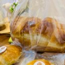 다올 그루밍 이미지