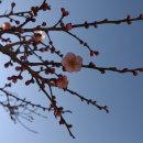 원동마을길 이미지