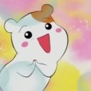 피오코리아 이미지