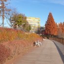 물빛근린공원 이미지