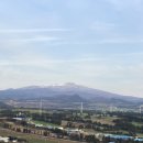 화산양돈 | 제주 금오름 선셋 투어 후기