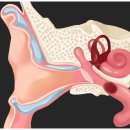 대전 굿모닝보청기 이미지