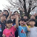 백제태권도장 이미지