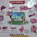 생고기백화점 이미지