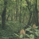 사적인 제주 이미지