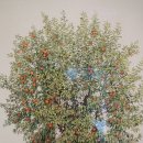 구멍가개 이미지