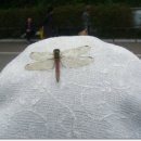 하늘공원 화장실 이미지