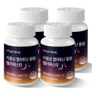 나인코퍼레이션