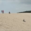 사구해수욕장2 이미지