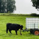 빅투치킨 | [알프스-돌로미티 캠핑카 여행10]로드서퍼 캠핑카 반납| 프라우엔키르헤·마리엔광장·오이스터 맛집...